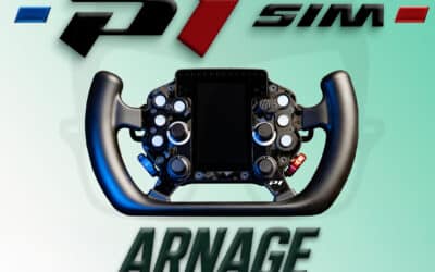 P1Sim Arnage: My honest opinion on this steering wheel